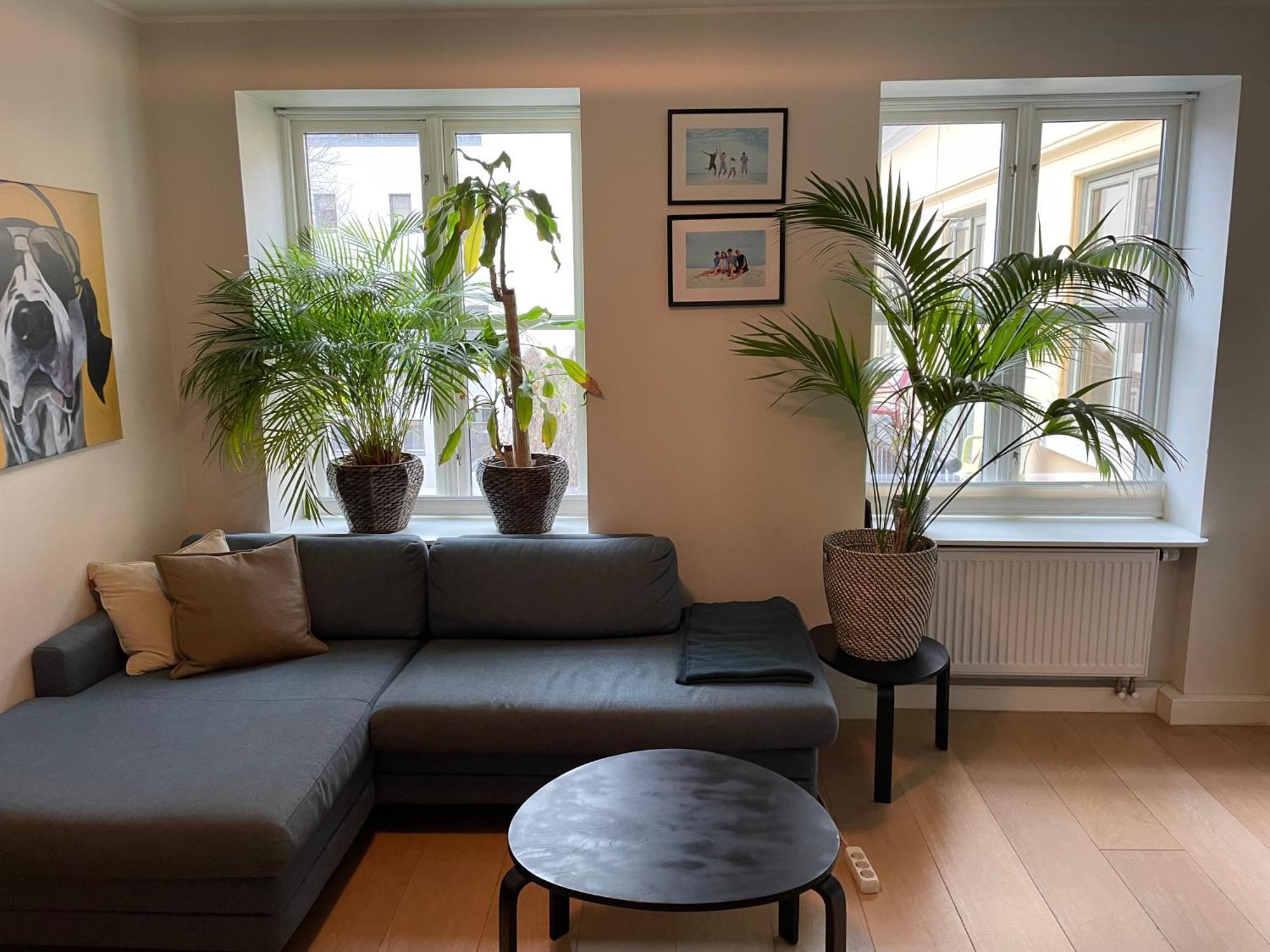 Stroken Loftleilighet Midt I Oslo. Екстериор снимка